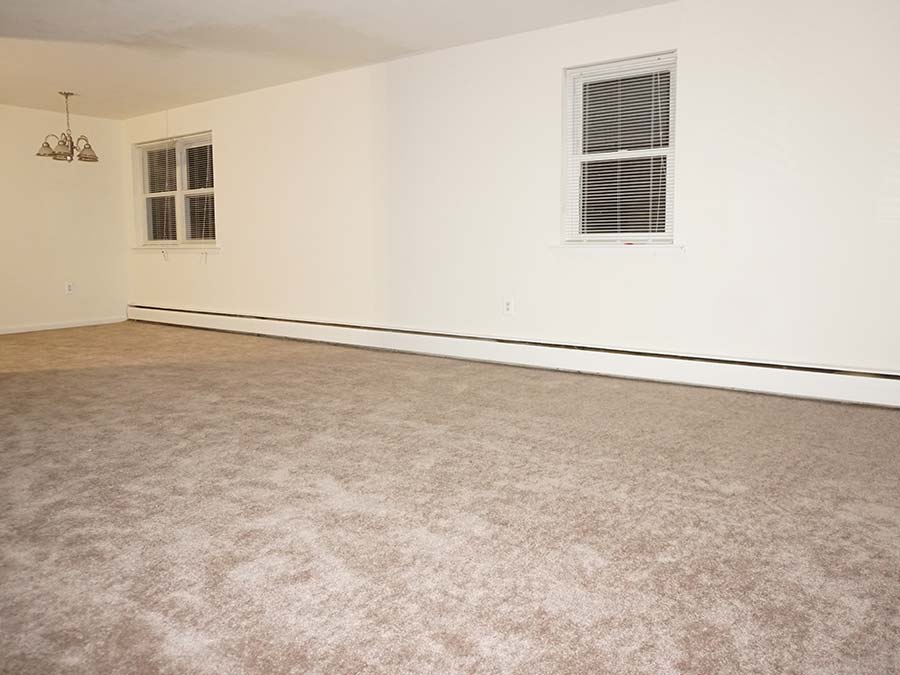 Spacious, carpeted living room at Patricia Court Apartments in Lansdowne, PA - Delaware County, PA