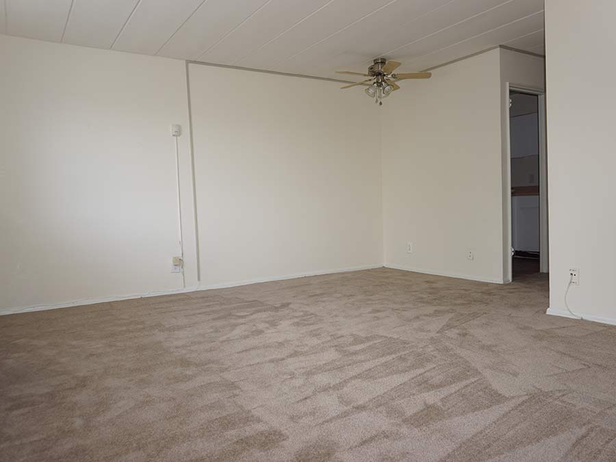 carpeted living room at Ambassador Terrace apartments in Delaware County, PA